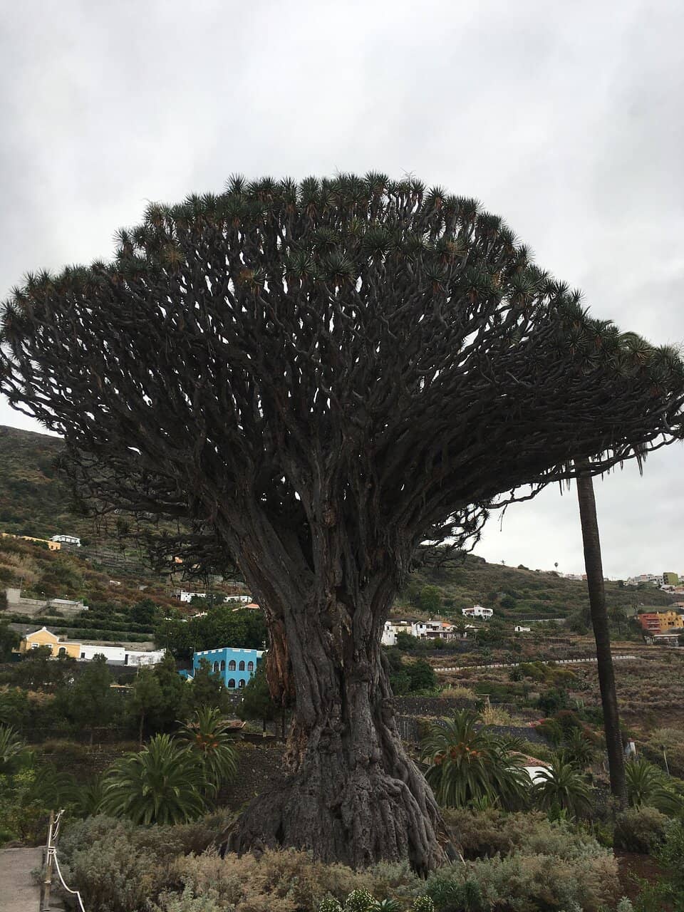 Vertical photo