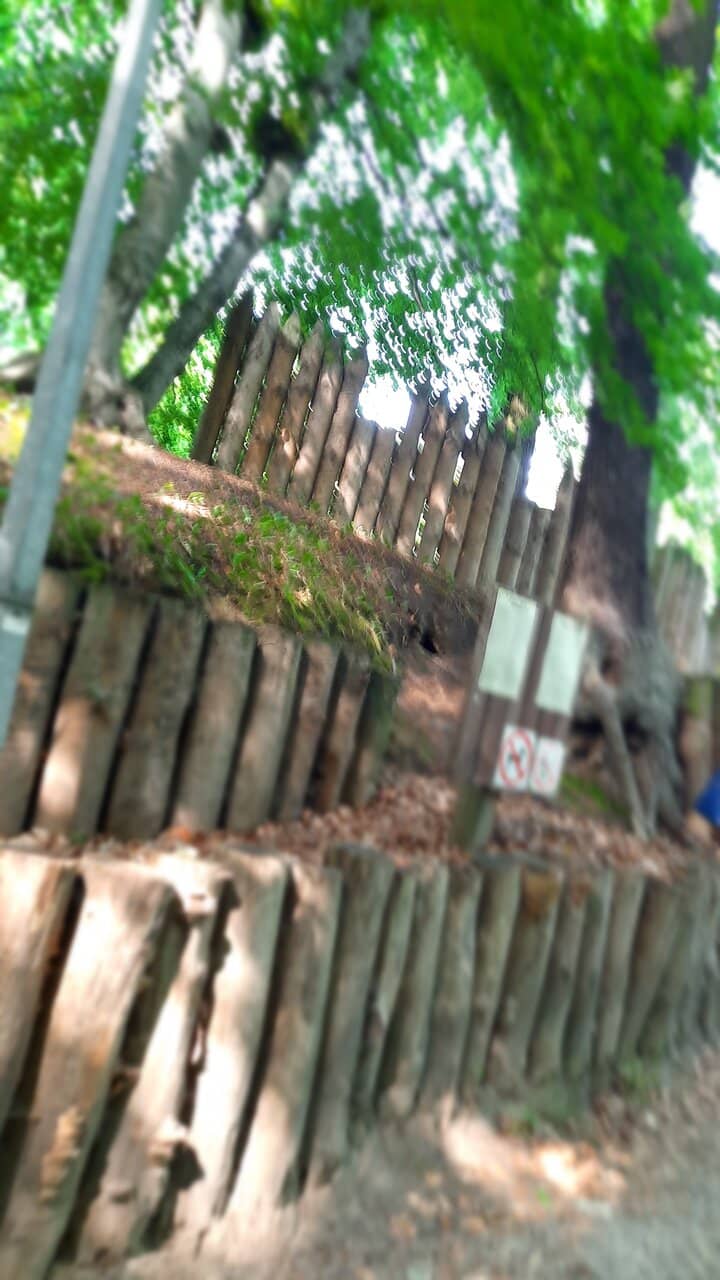 Archaeological Relics Display