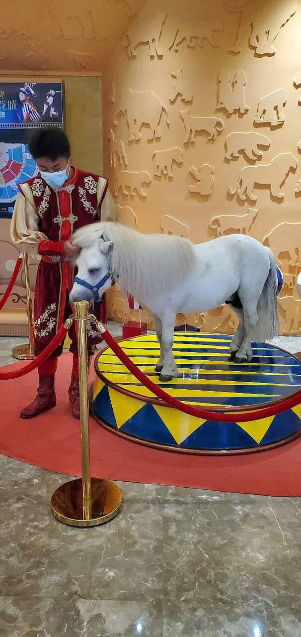 Spectacular Stage Design