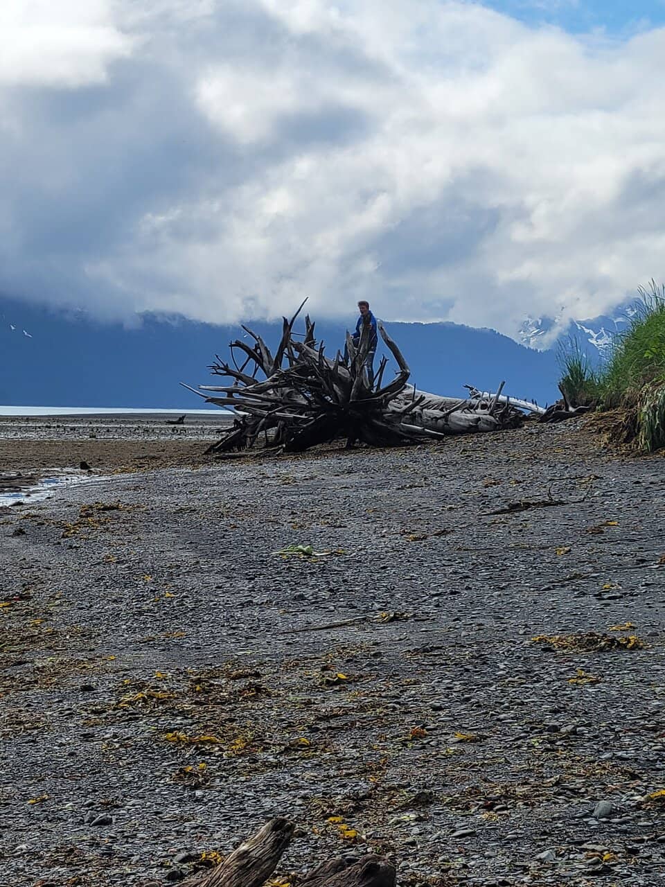 Coastal Forest Walk