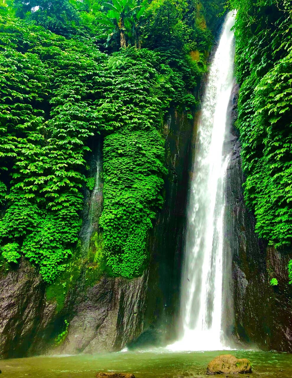 Vertical photo