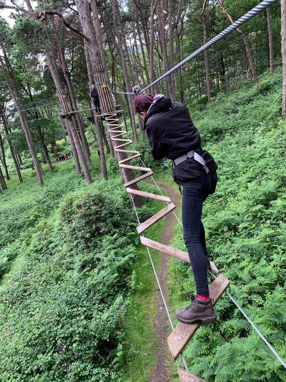 Zip Lines with a View