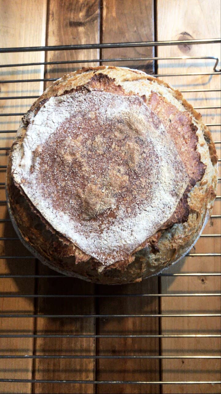 From the Allotment to Your Plate