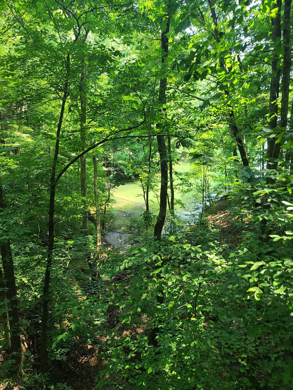 Bear Trace Golf Course