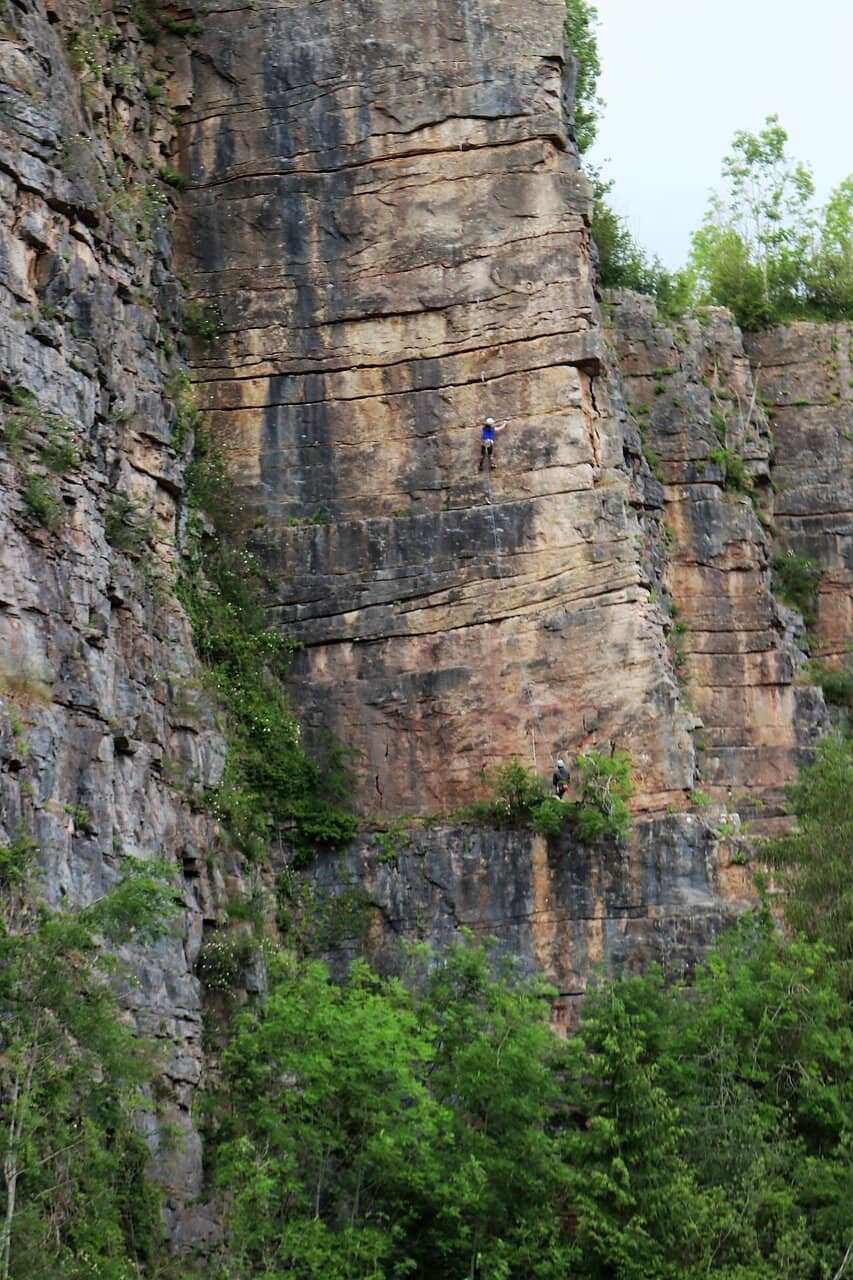 Panoramic Viewpoint