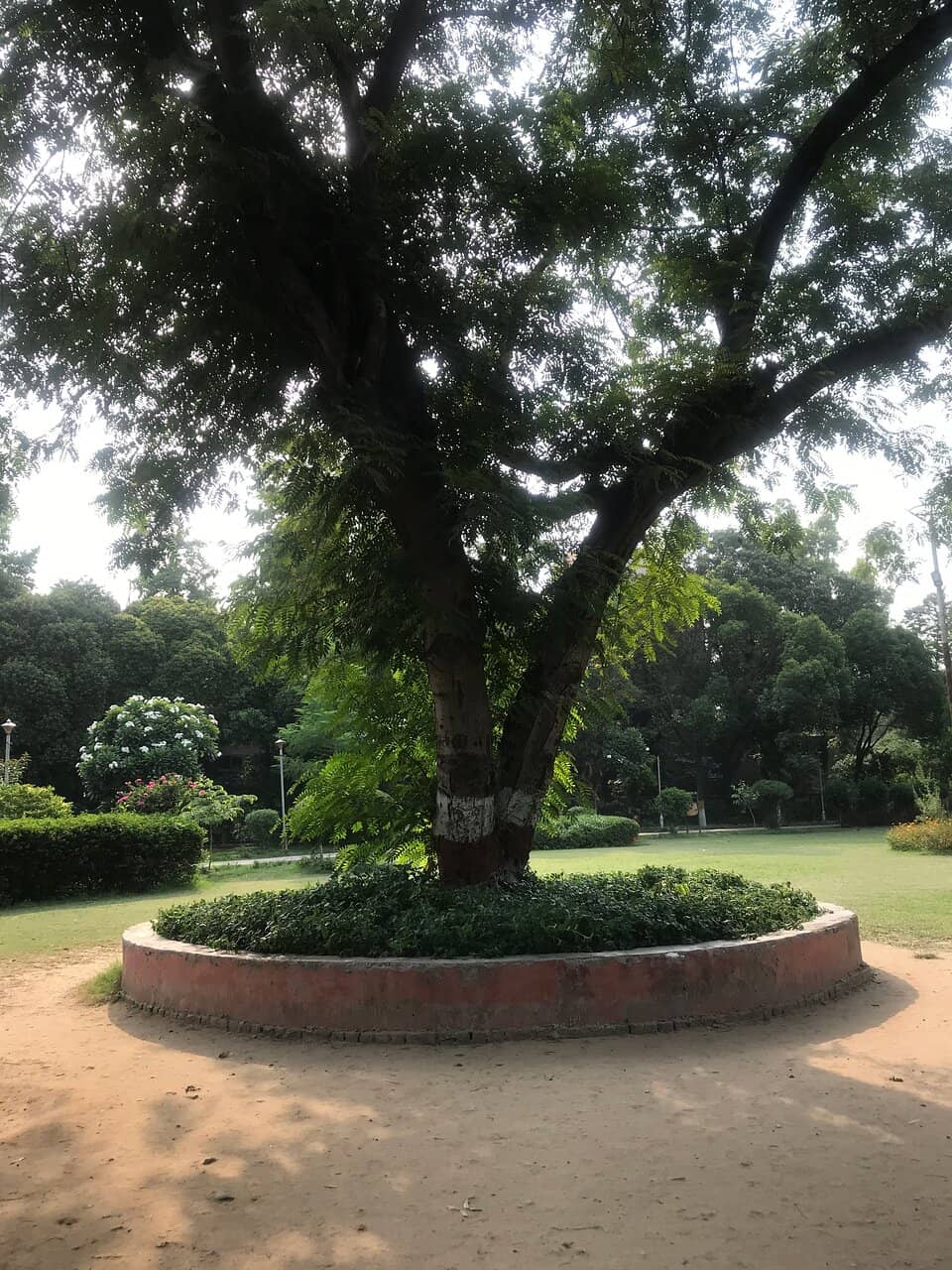 Fitness Equipment Zone