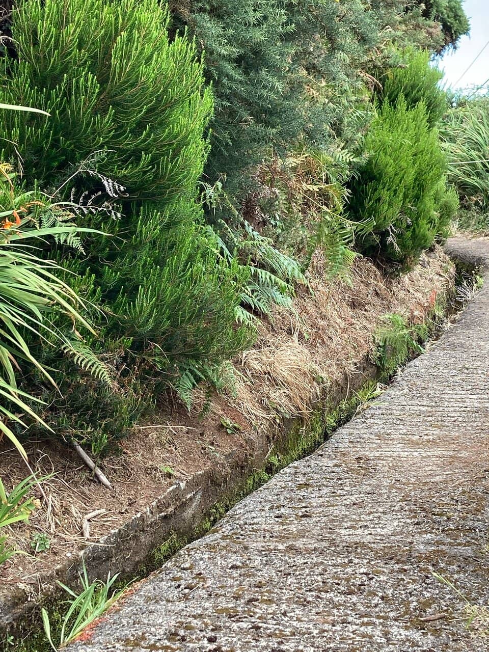 Cascading Waterfalls