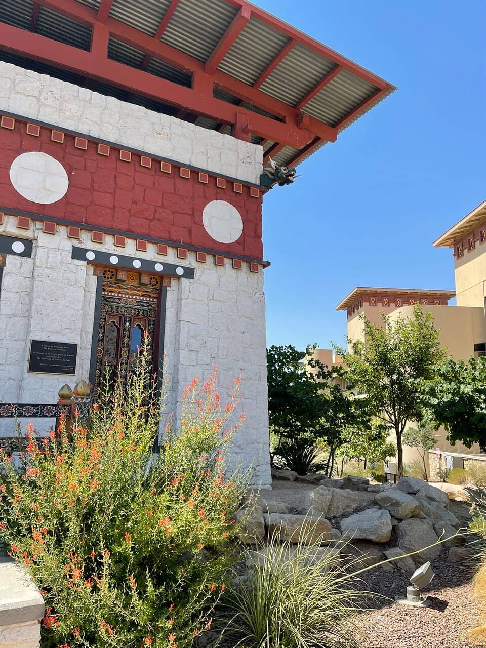 Dinosaur Bone Exhibit