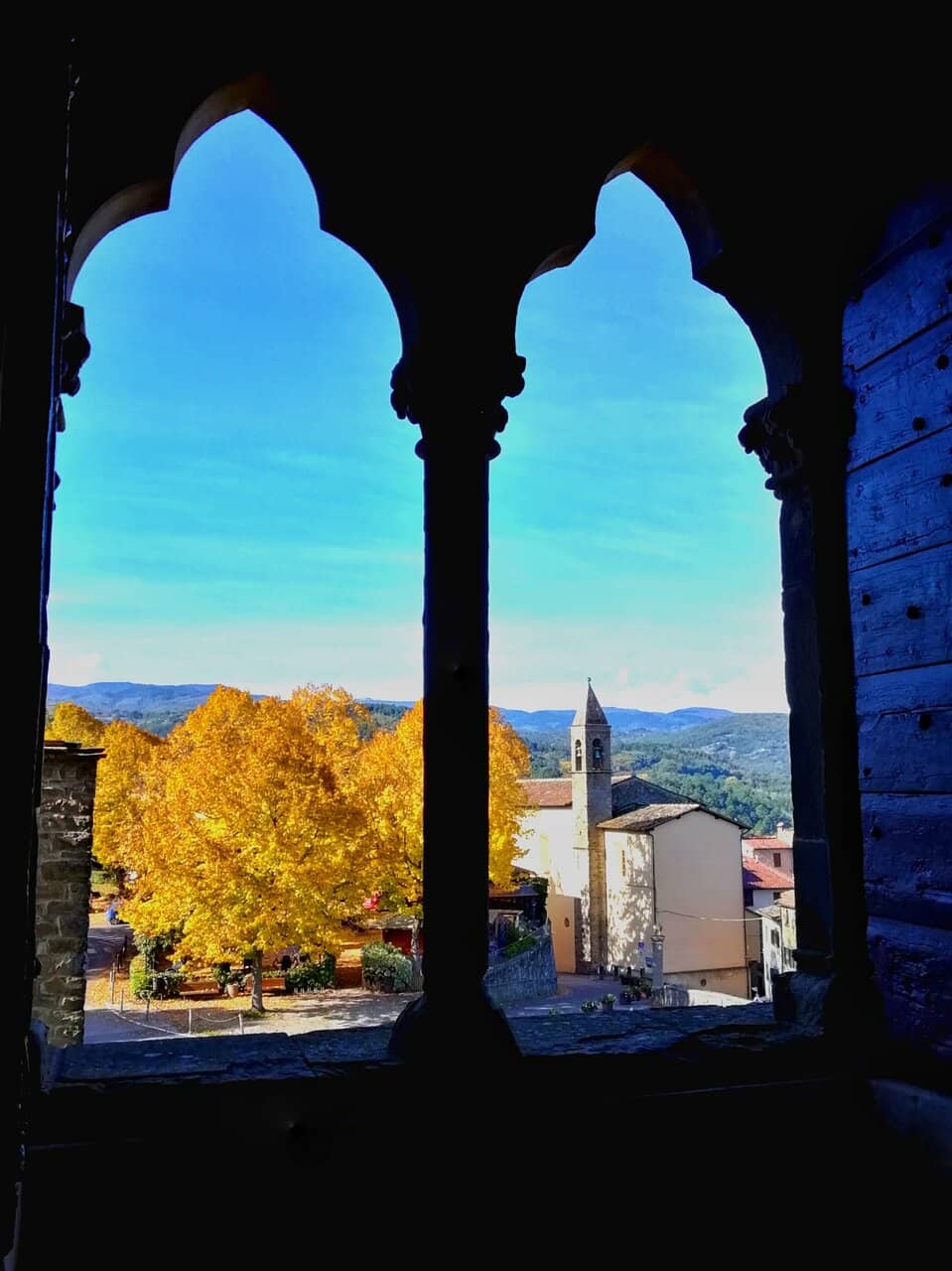 Vertical photo