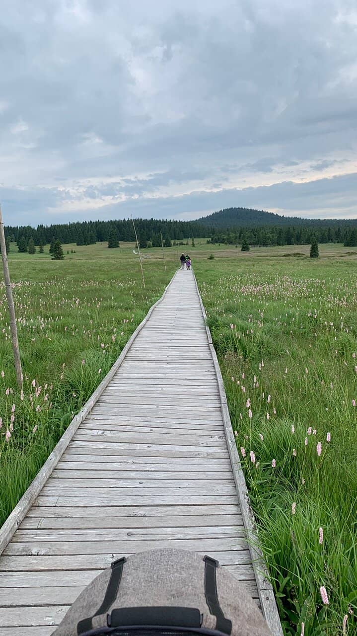 Vertical photo