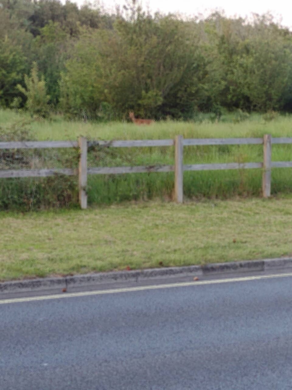 Scenic Walking Trails