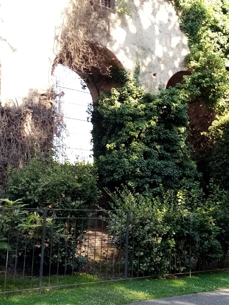 Tranquil Green Escape