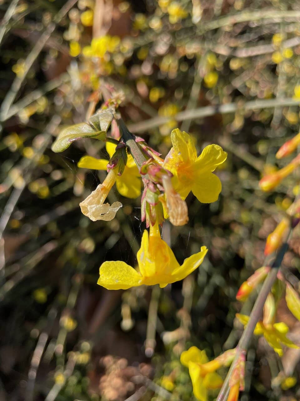 Children's Play Space & Skate Park