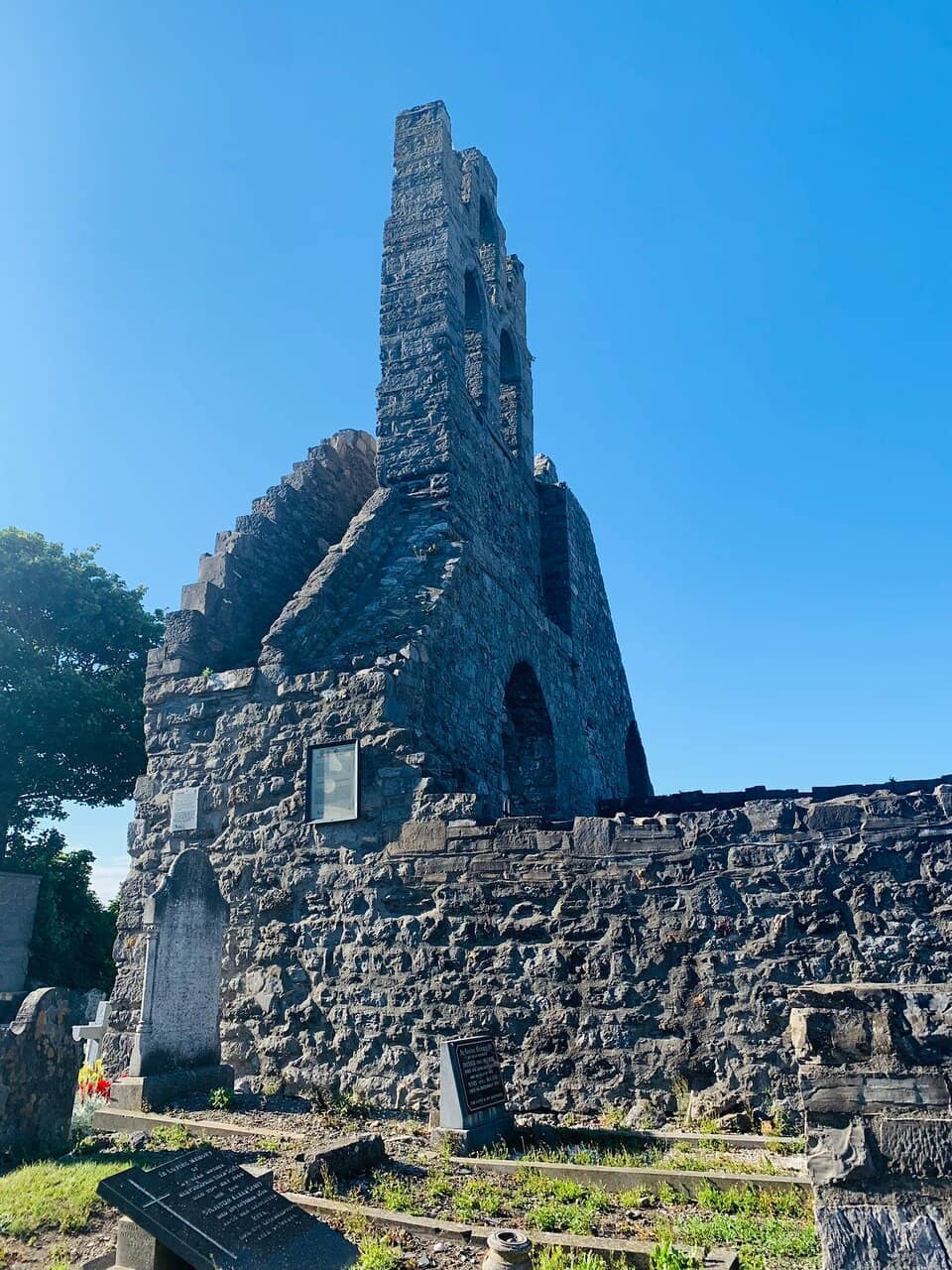 Vertical photo
