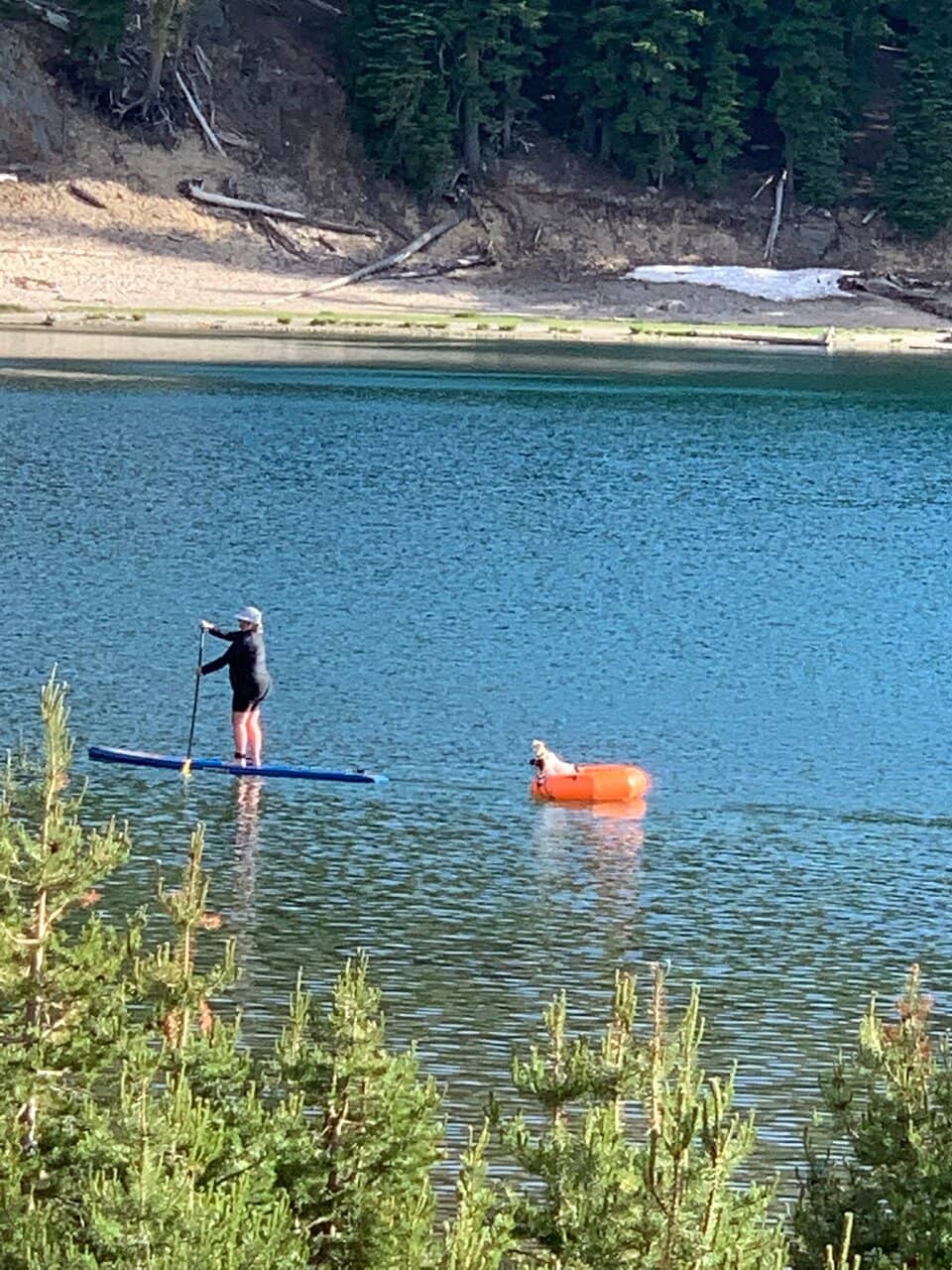 Fishing for Rainbows & Browns