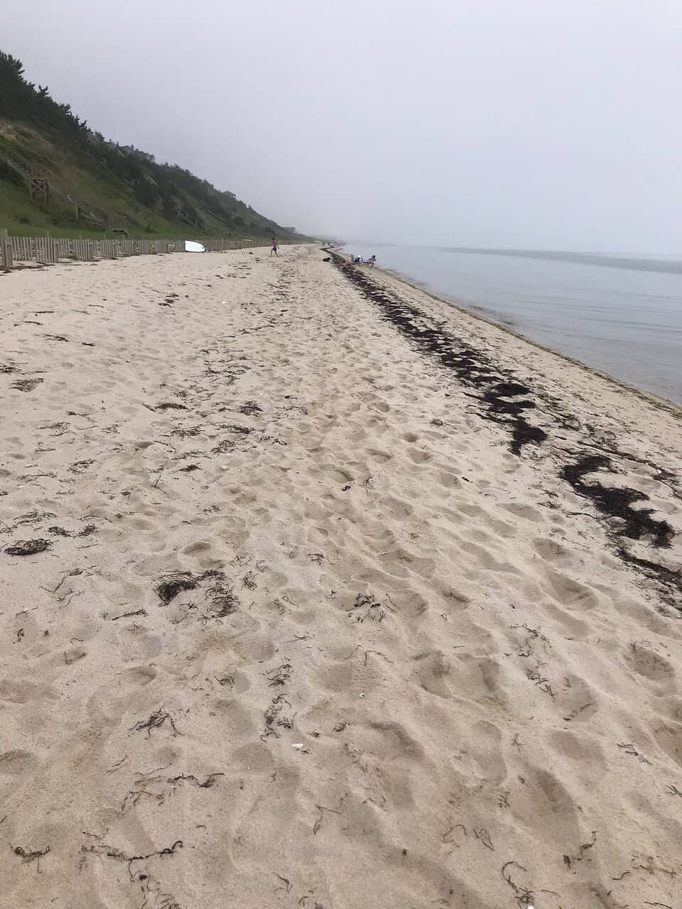 Calm Bayside Waters