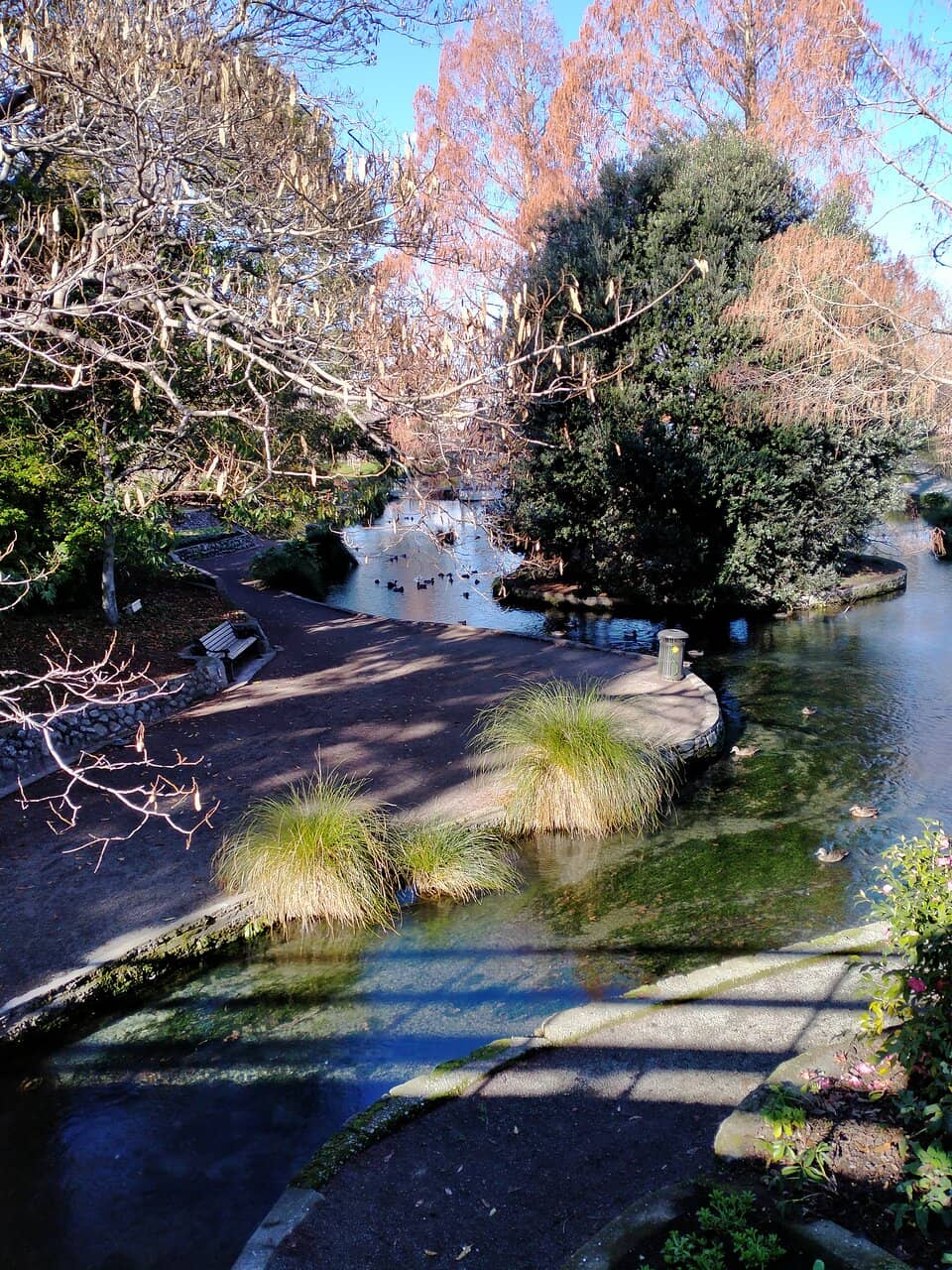 The Serene Stream and Paths