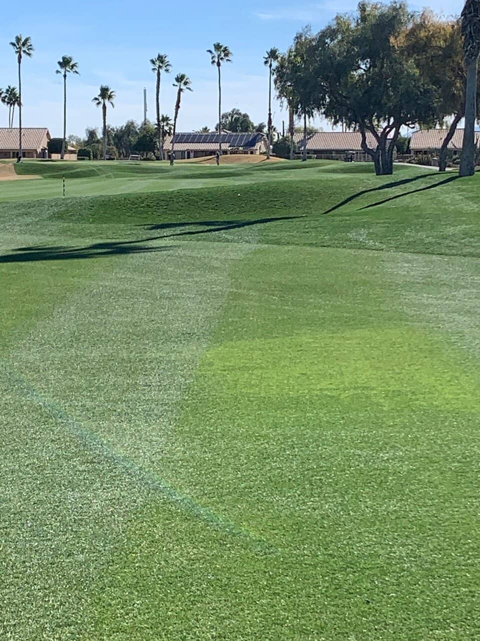 The Vistas Course