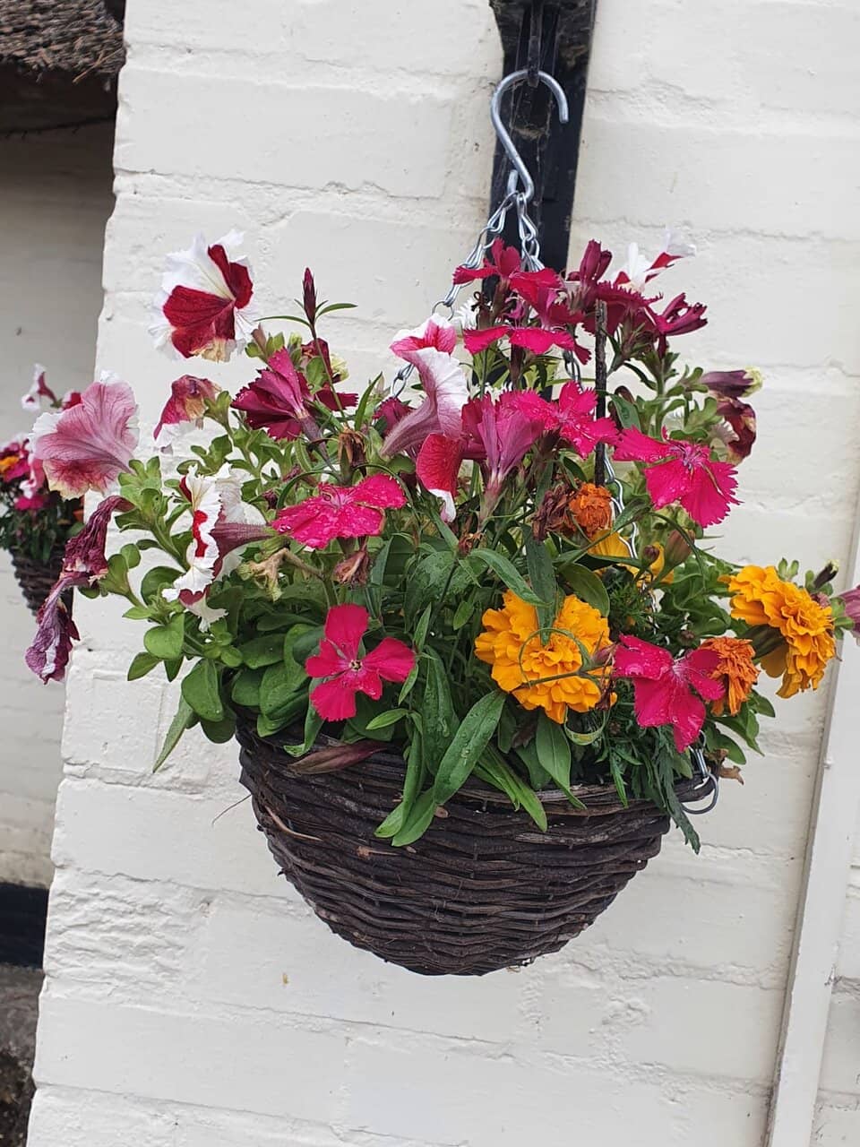 Children's Play Area