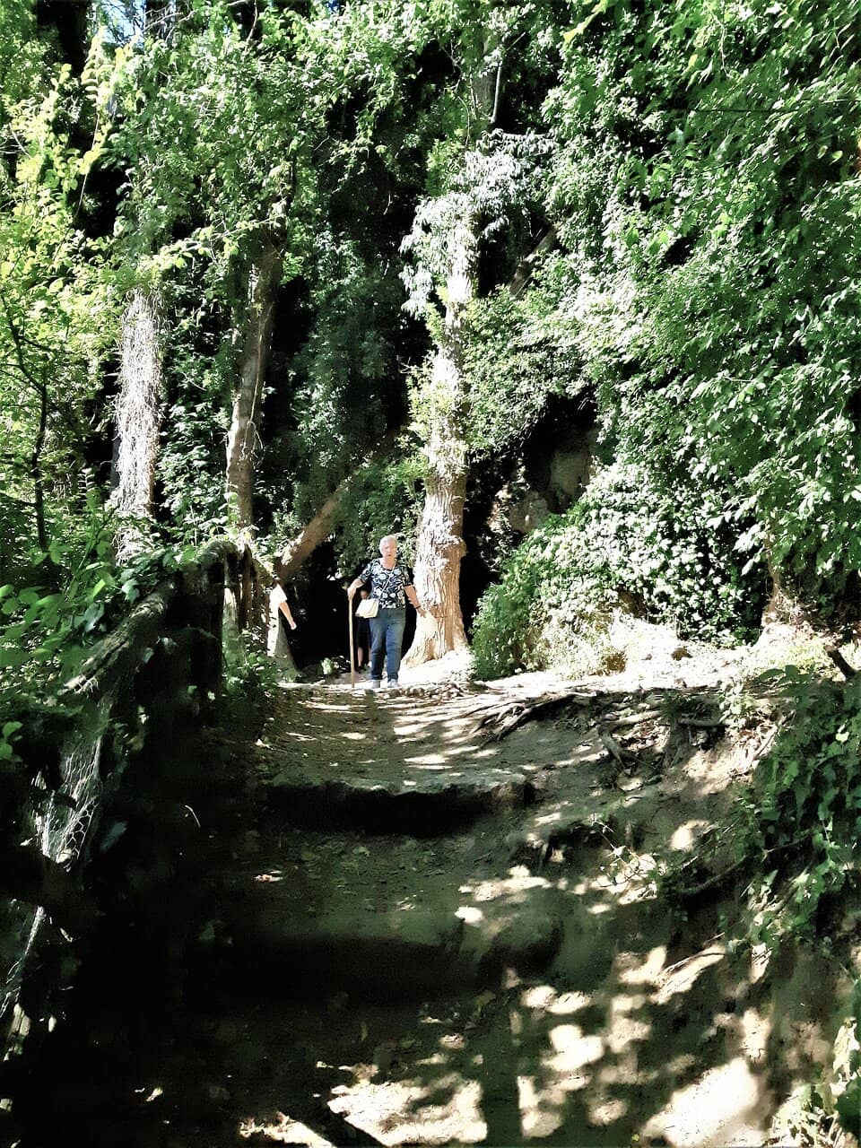 Vertical photo