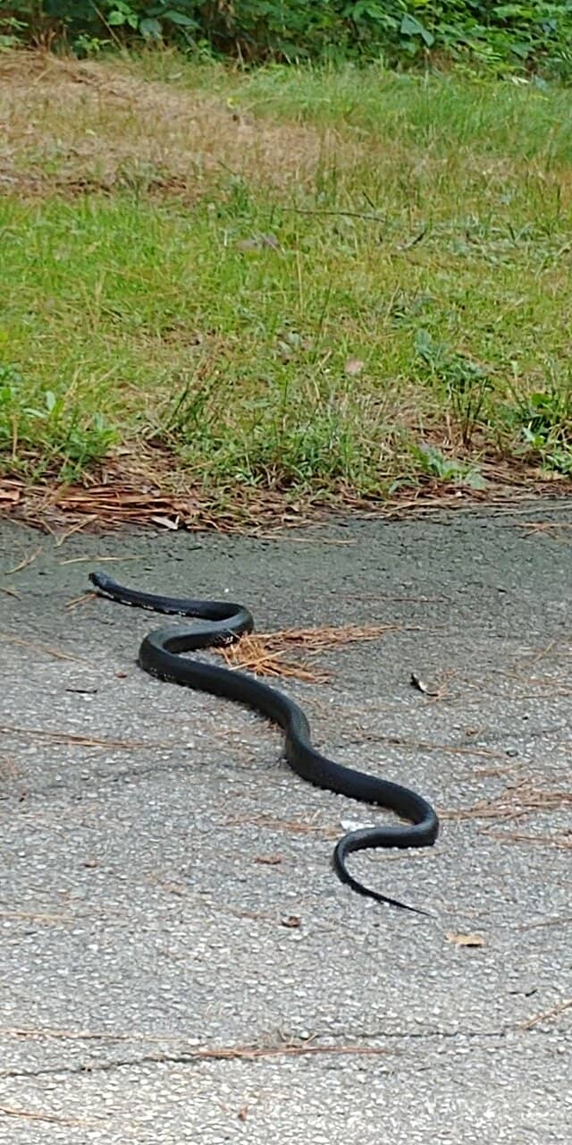 Historic Nuclear Aircraft Facility