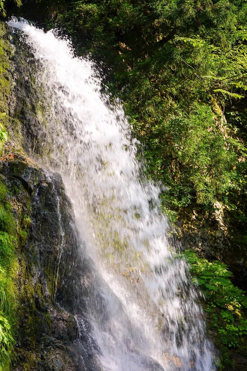 Scenic River Walk