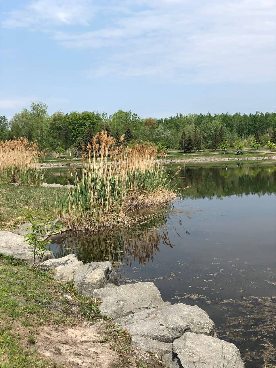 Scenic Walking & Biking Trails