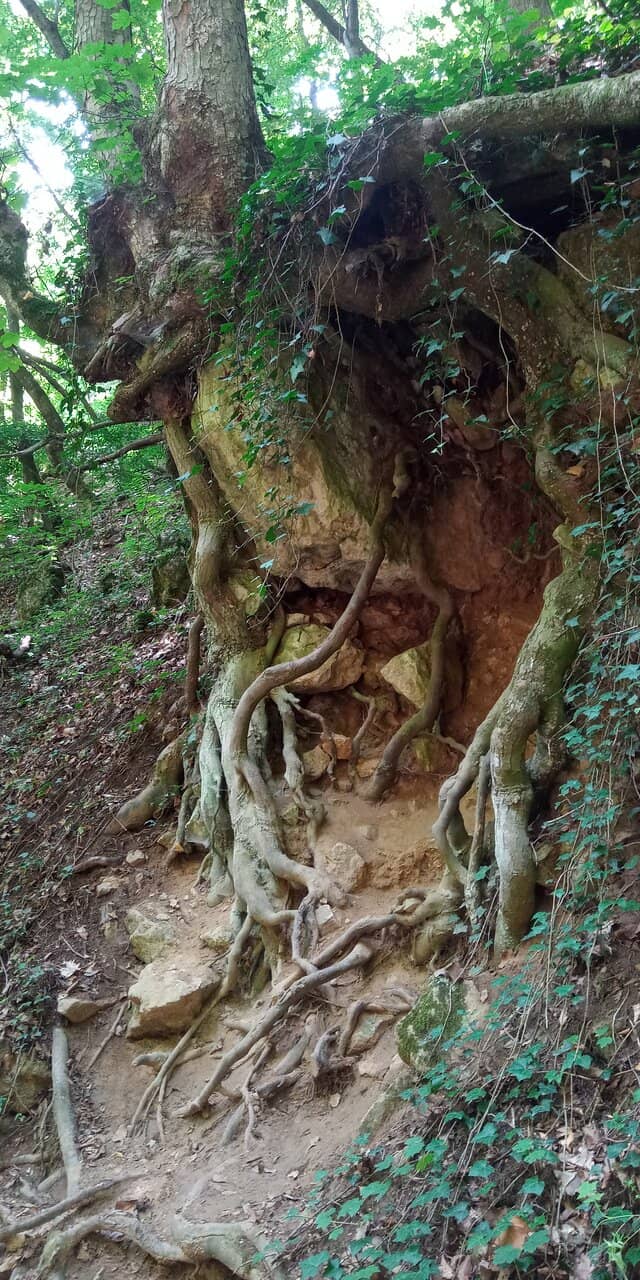 Sacred Spring