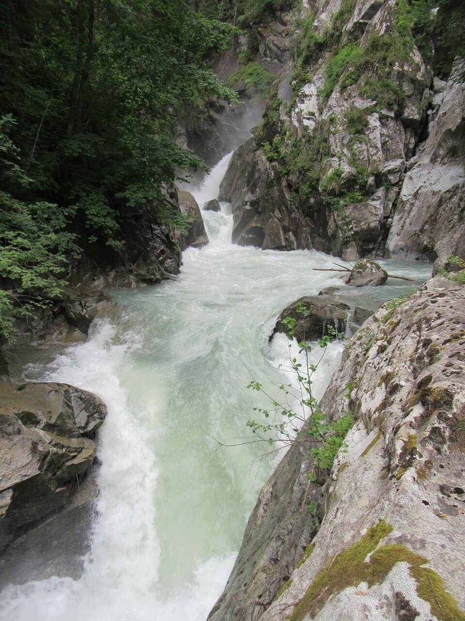 Vertical photo