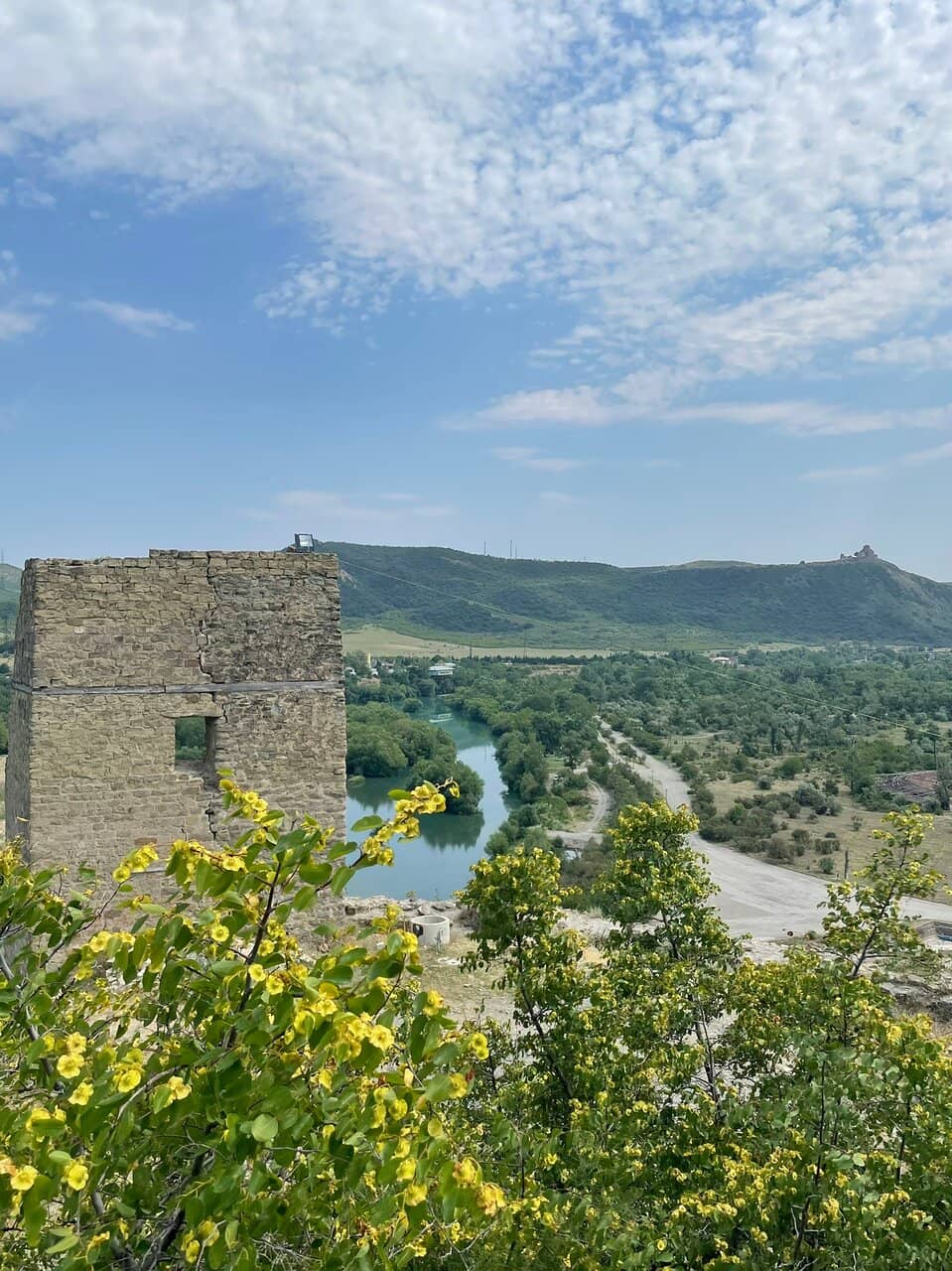 Peaceful Picnic Spot