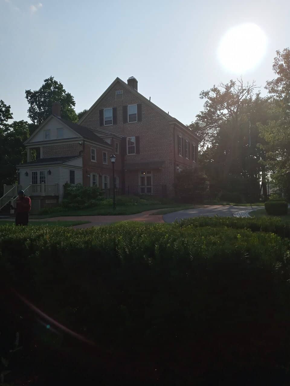 Immaculate Gardens