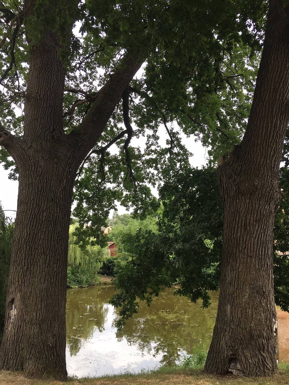 Vertical photo