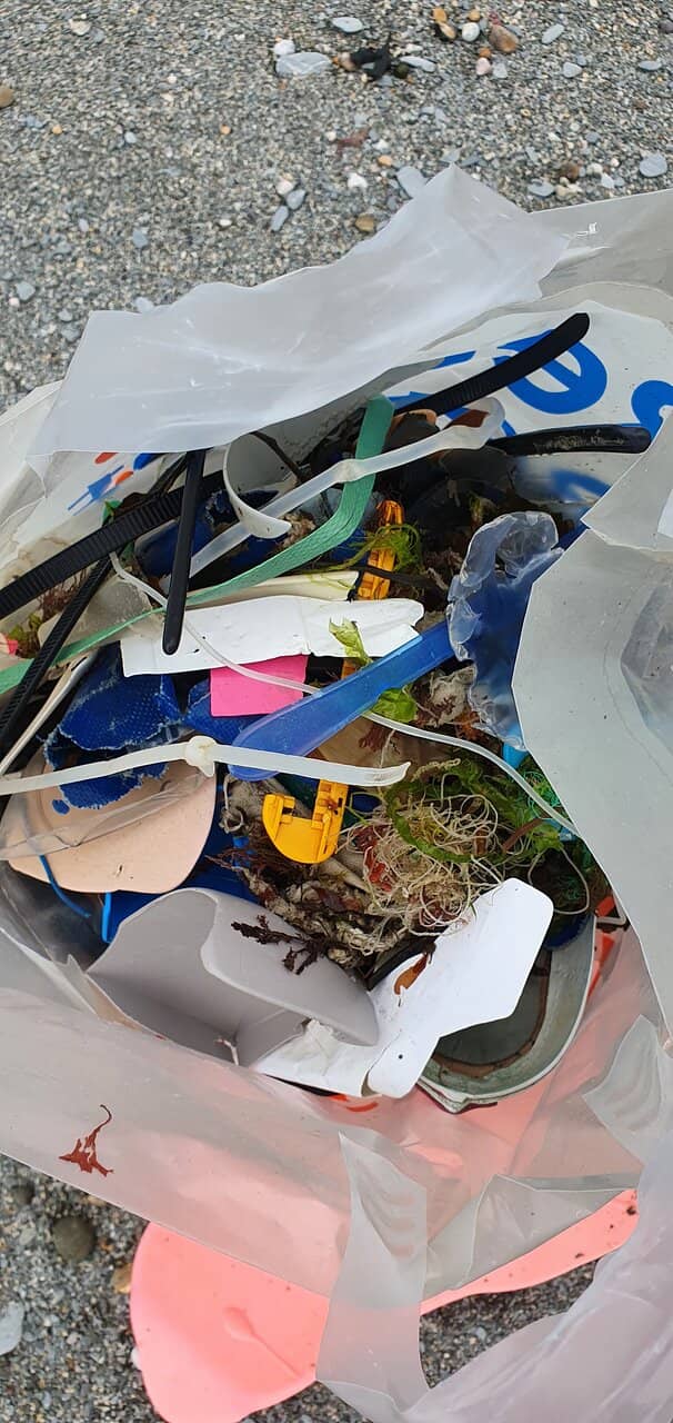 Rock Pool Exploration