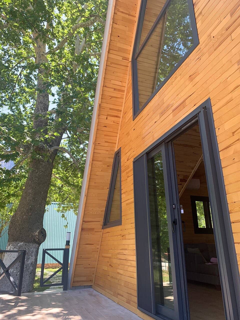 Camping Under the Stars