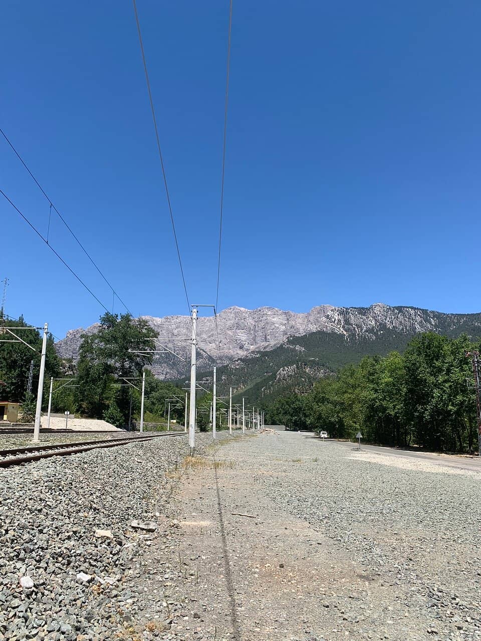 Vertical photo