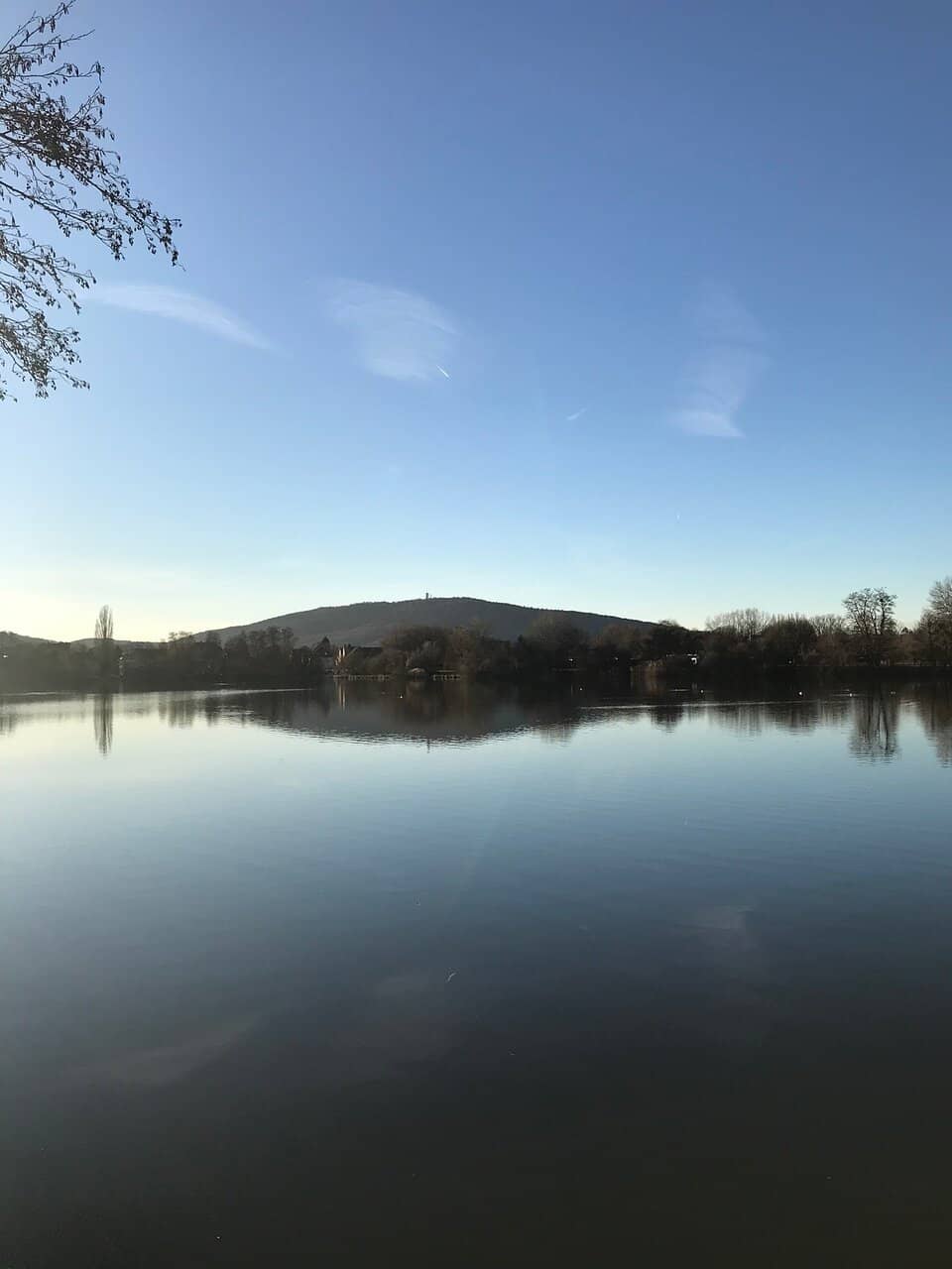 Scenic Walking Track