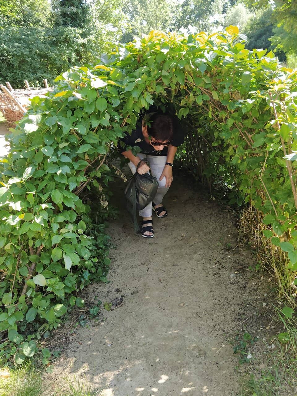 Educational Playgrounds