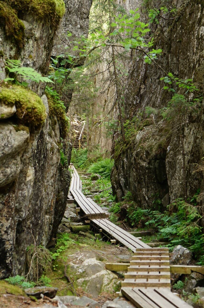 Scenic Hiking Trails