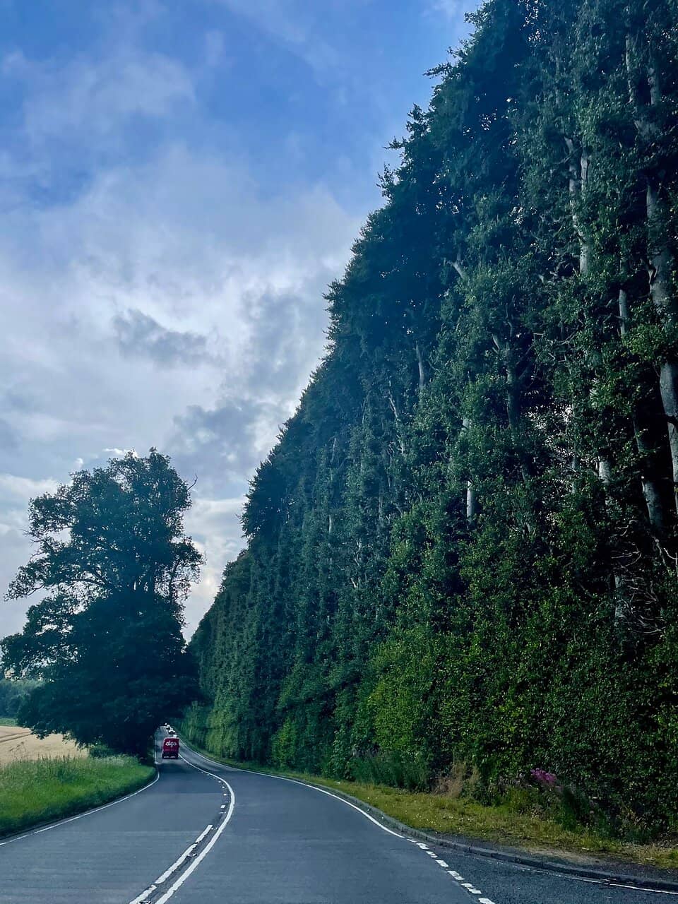 A Living Piece of History