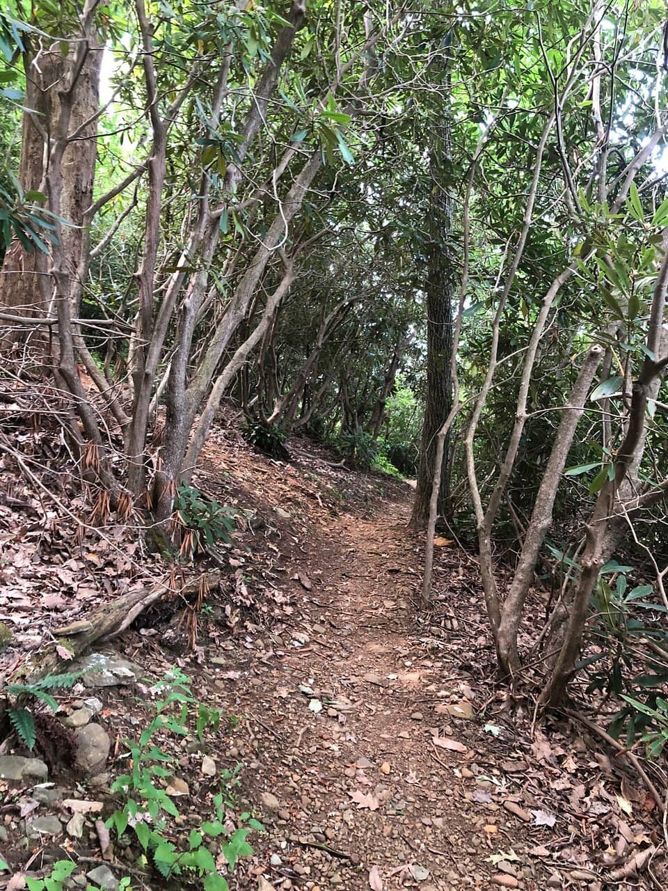 PBJ Trail