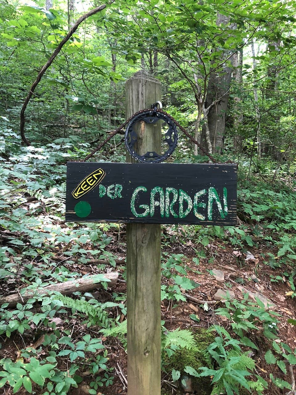 Blue Dream & Transfer Station