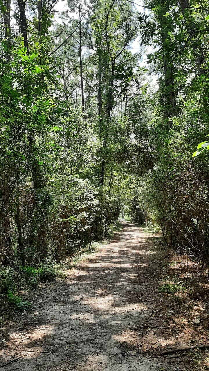 Turtle Pond & Fishing Beach