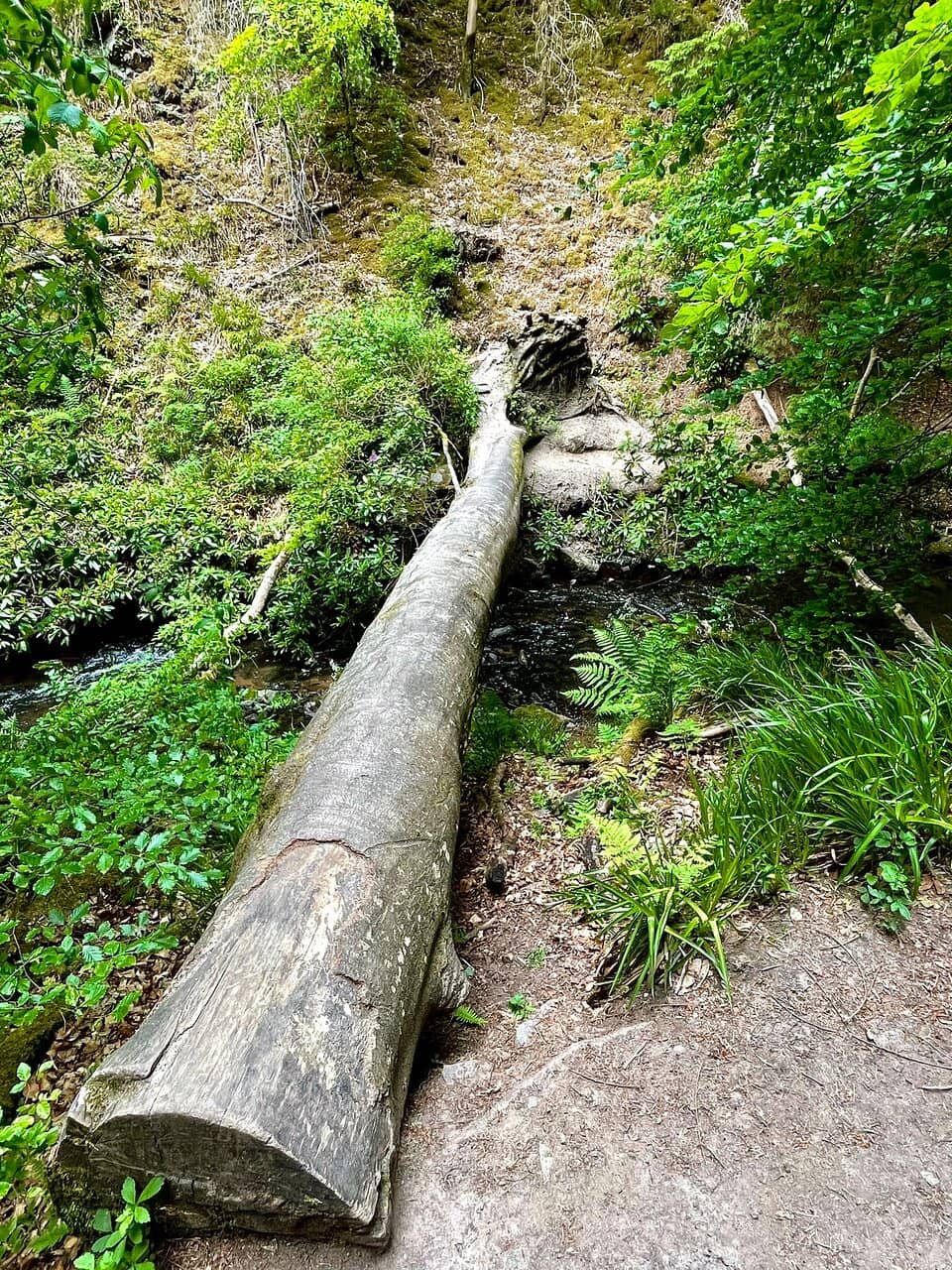 Fairy Glen Falls