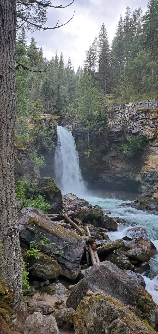 Salmon Spawning Viewing