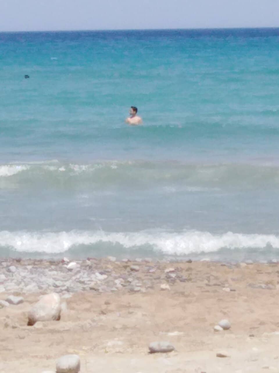 Dolphin Sightings