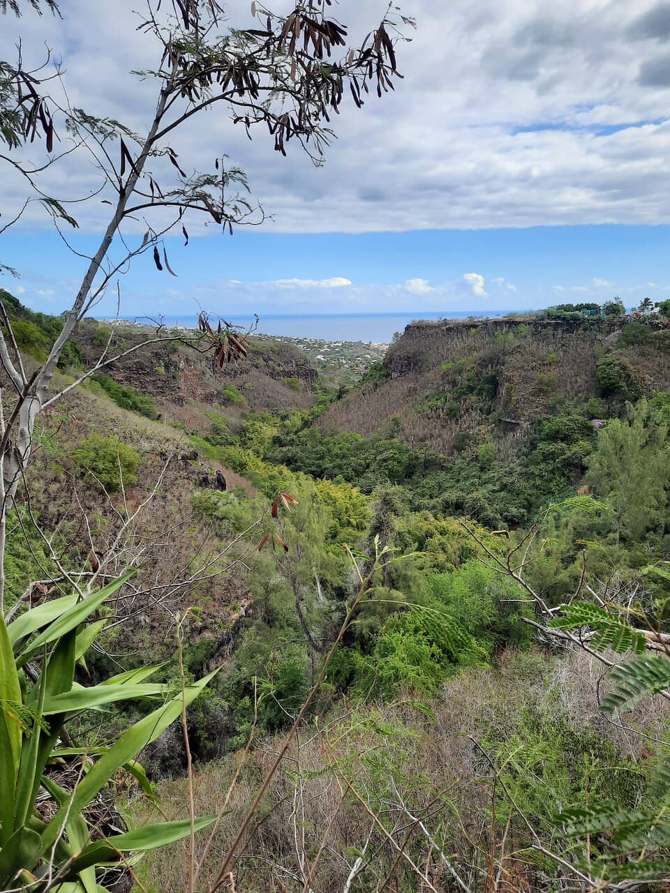 Scenic Ravine Walk