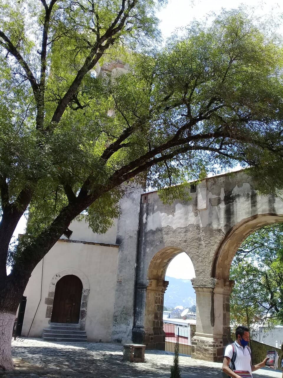 Vertical photo