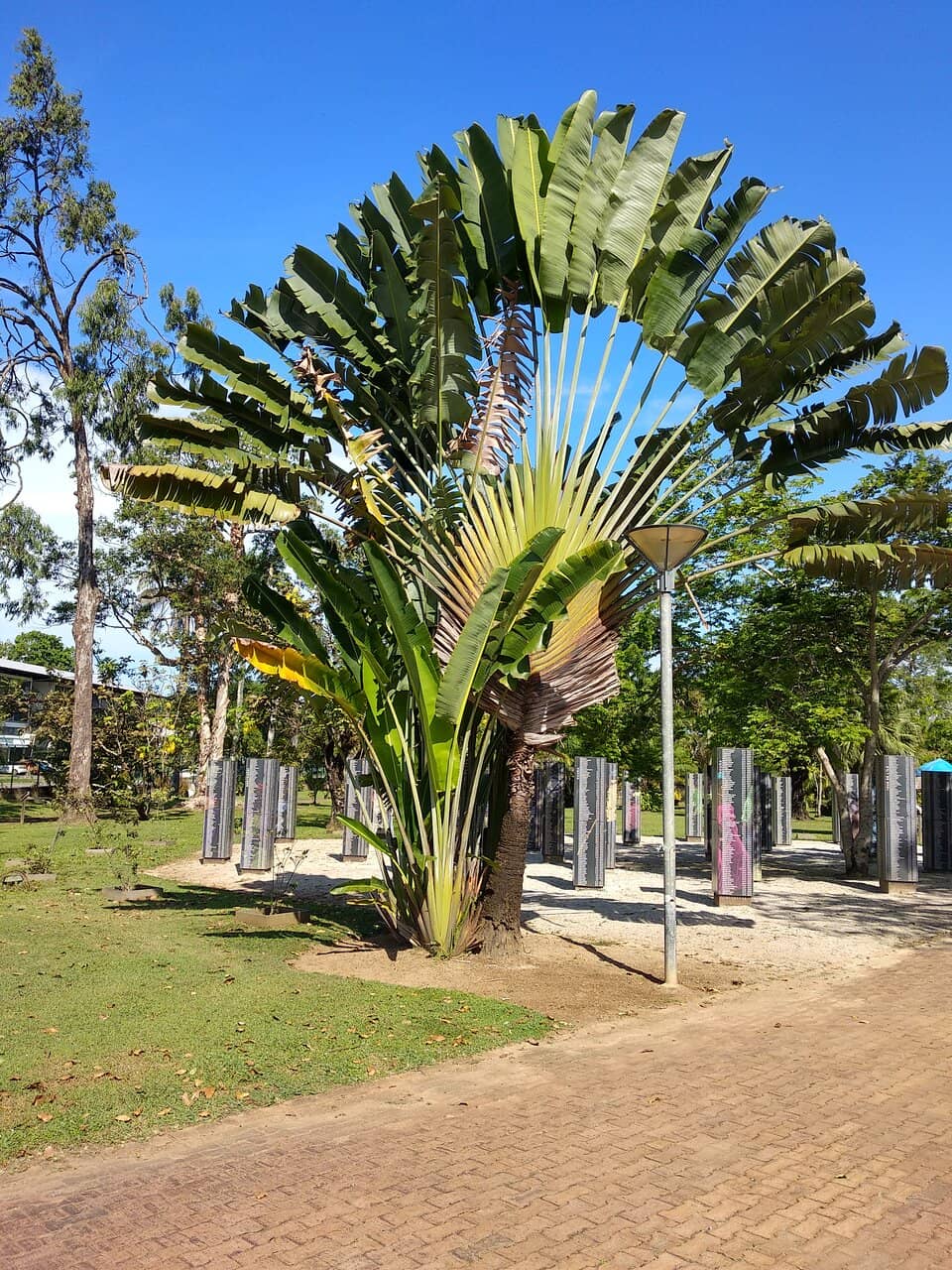 Informative Plant Signage