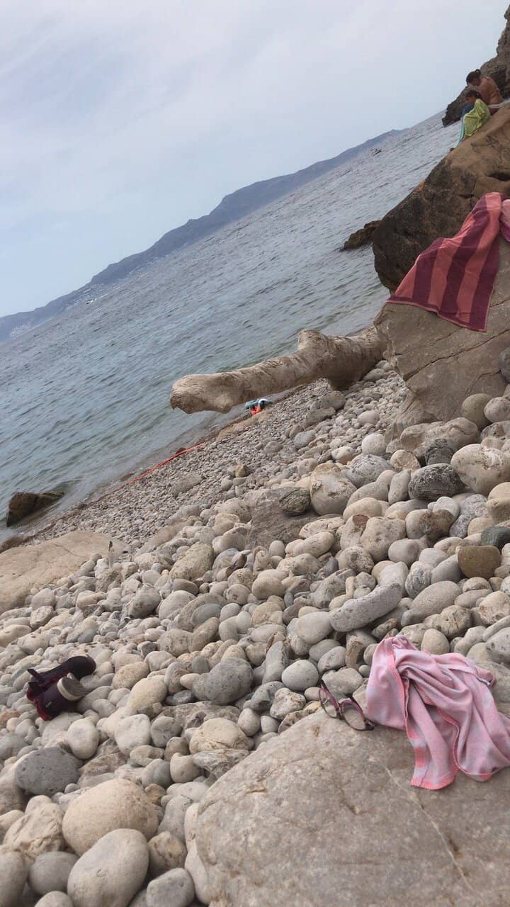 Rocky Cove Ambiance