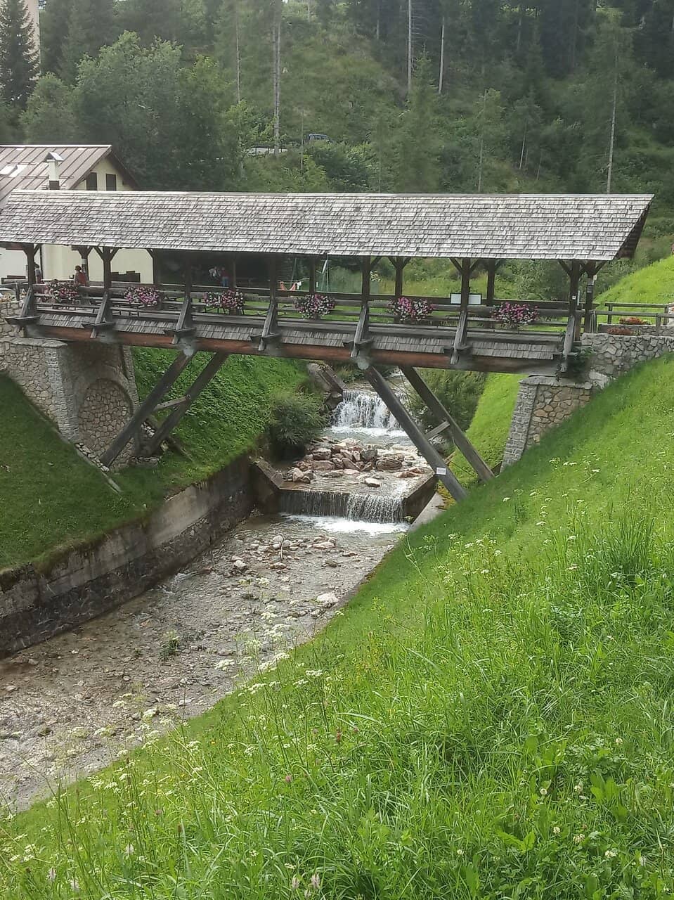 Vertical photo